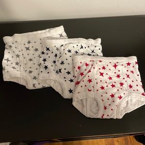 Hanna Andersson training underwear size small